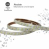 Manguera LED 3 leds Líneas 50M
