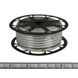 Manguera Led 5050 50 metros