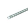 Tubo LED T8 de 9W (60 cm)